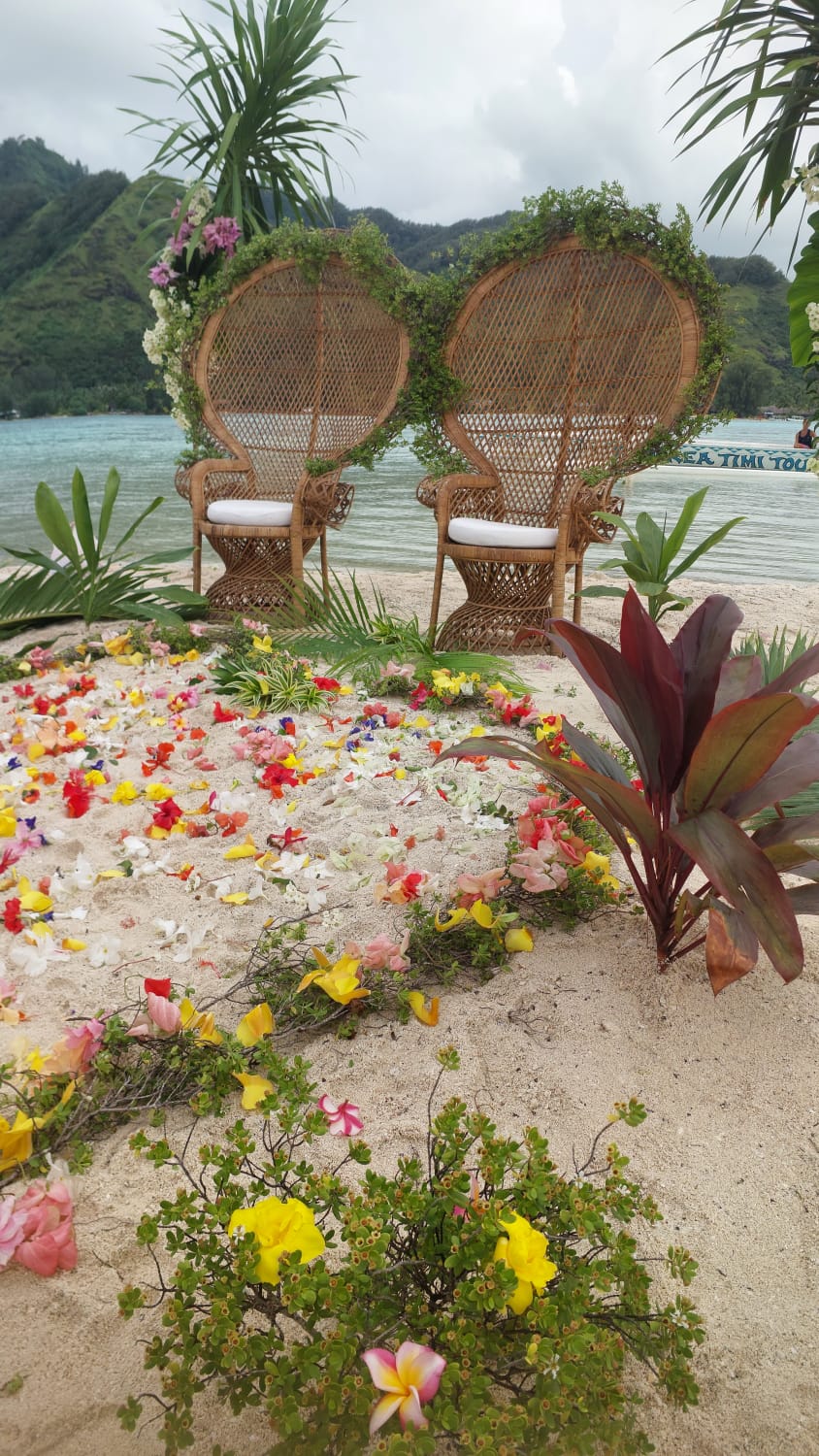 Trônes de rotin et pétales de fleurs