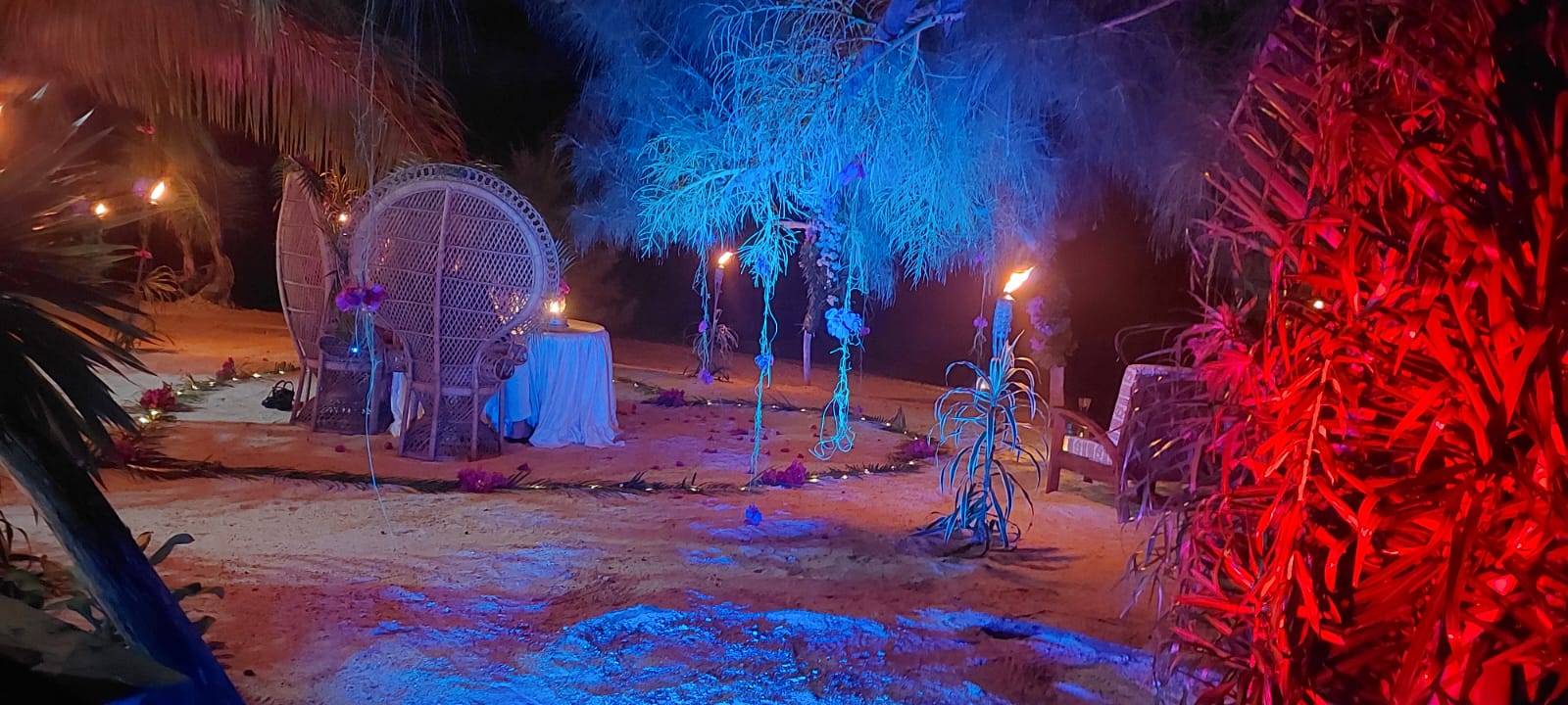 Excursion privée Moorea